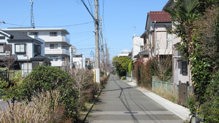 写真1