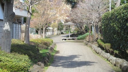 写真2