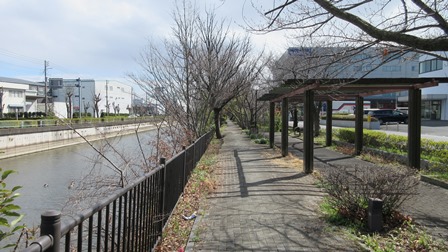写真4