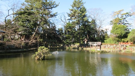 写真4