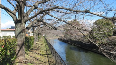 写真6