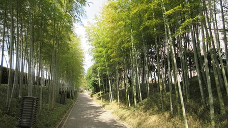 写真9
