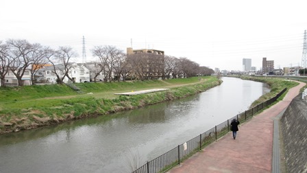 写真6