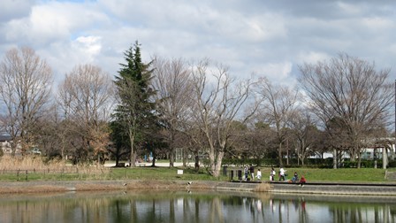 写真6