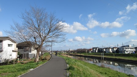 写真7