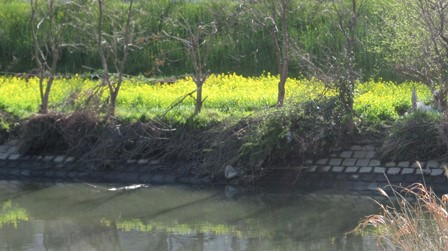 写真8