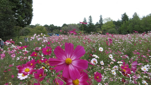 写真3