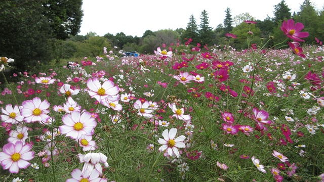 写真4