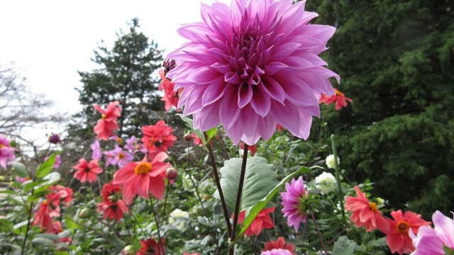 写真5