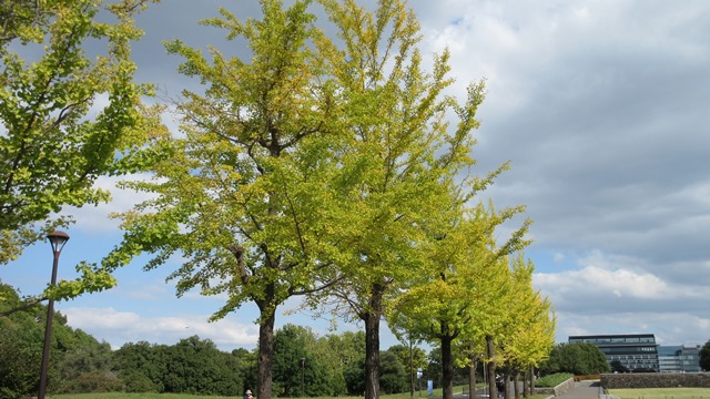 写真9