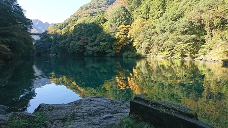 写真10