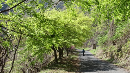 写真5