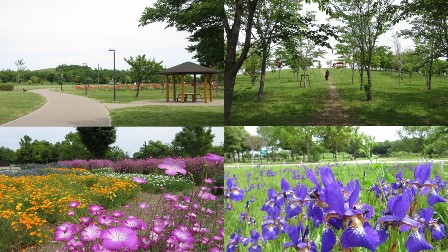 写真6