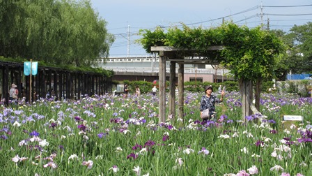 写真7