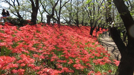 写真9