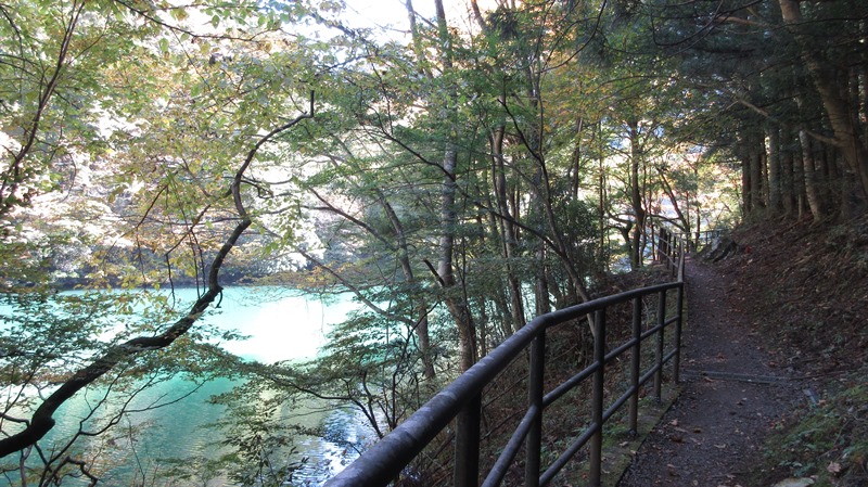 写真1