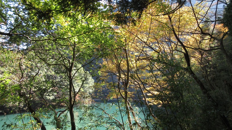 写真2