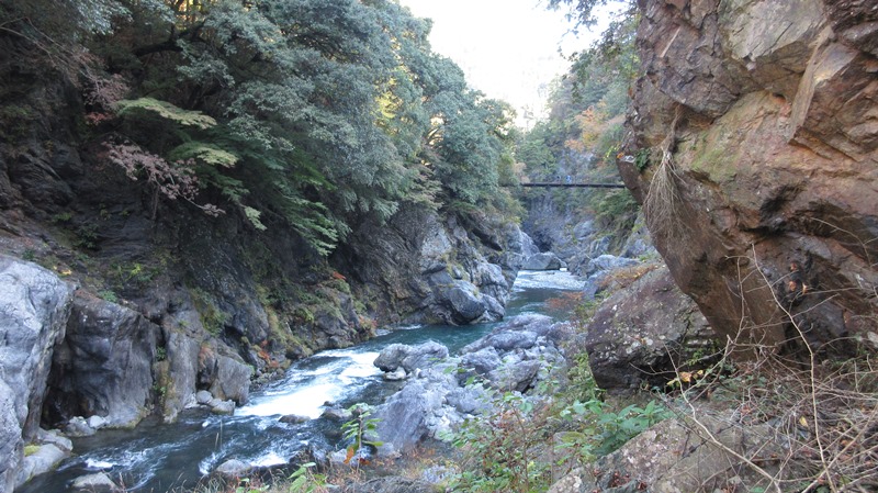 写真4