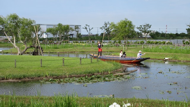 写真4