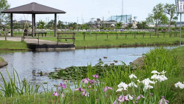写真5