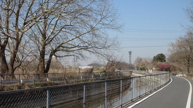 写真4