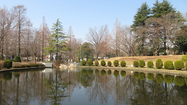 写真5