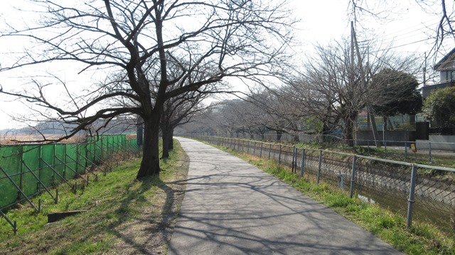 写真6