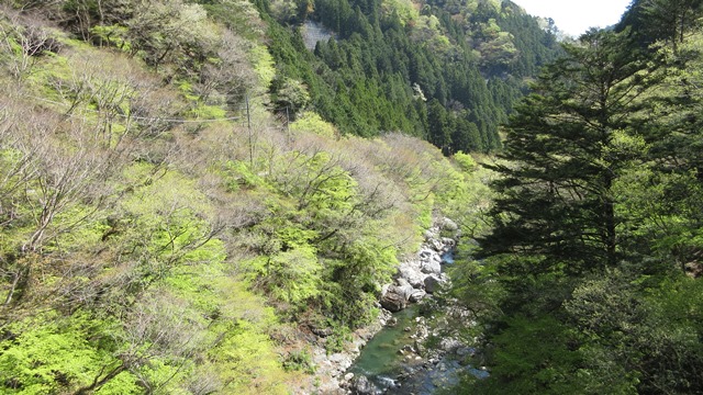 写真2
