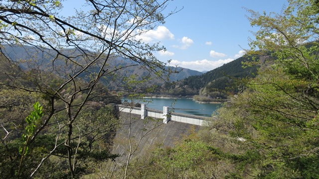 写真3
