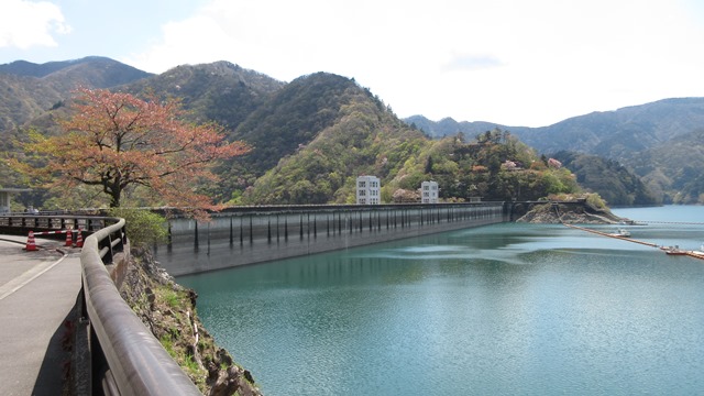 写真4