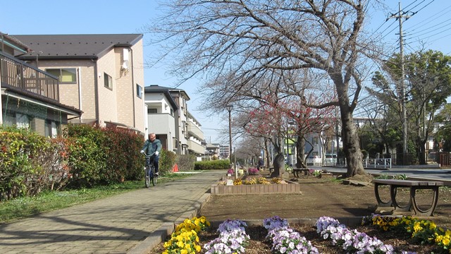 写真1