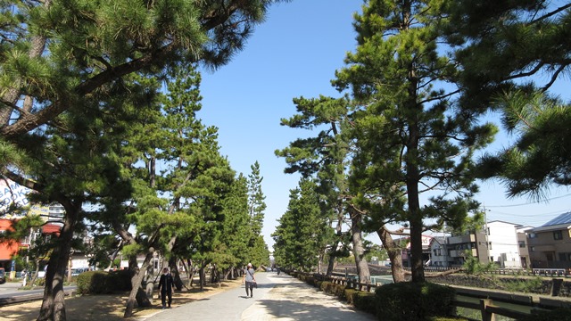 写真3
