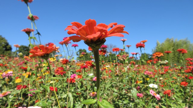 写真4