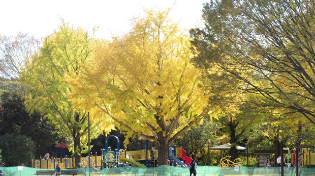 写真5