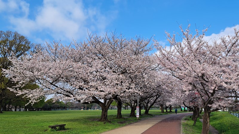 写真2