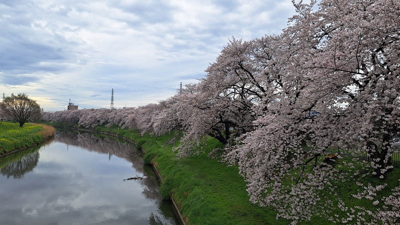 写真2