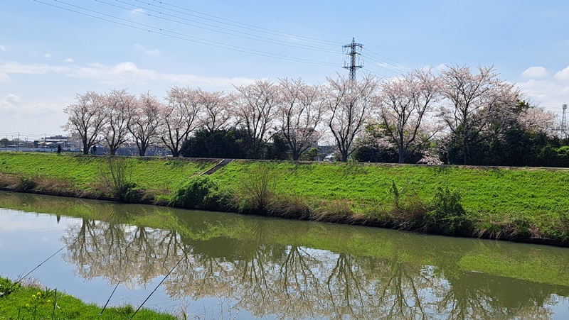 写真6