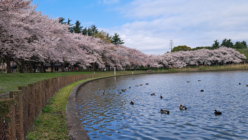 写真7