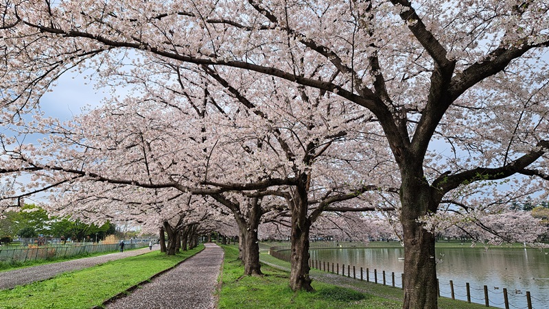 写真8
