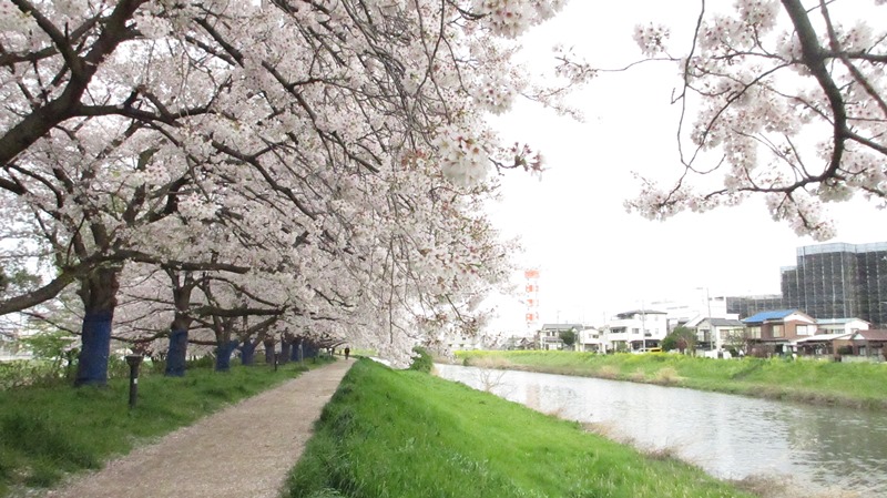 写真4
