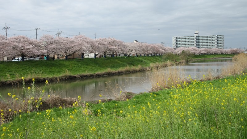 写真5