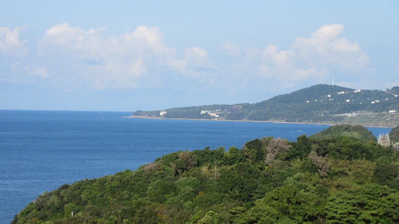 写真1