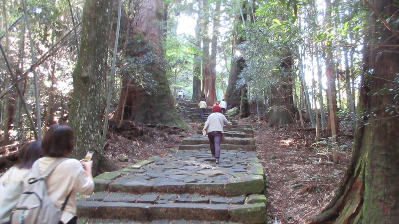 写真5