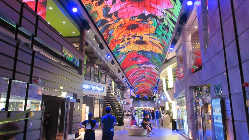 写真5