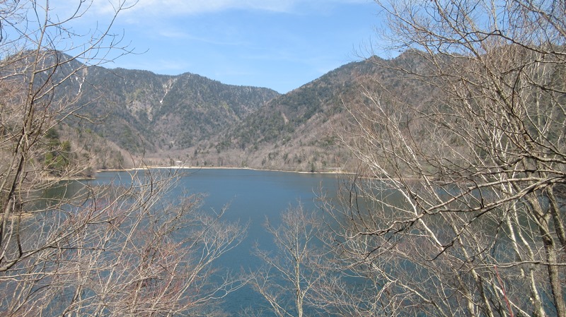 写真6