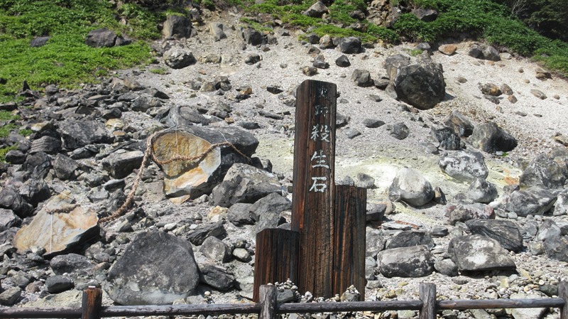 写真6