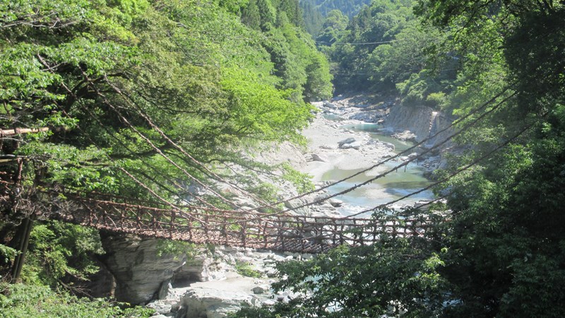 写真8