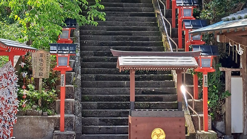 写真7