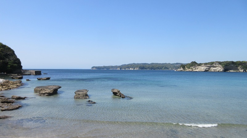 写真4