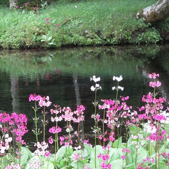 写真10